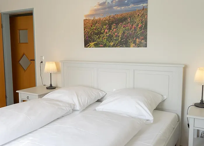 Feldblick - Landlust Osterwarf Norddeich (Norden)